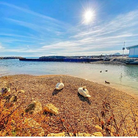 50M Plage / 200M Hippodrome 2 Pieces Jardin Garage Cagnes-sur-Mer Exteriör bild