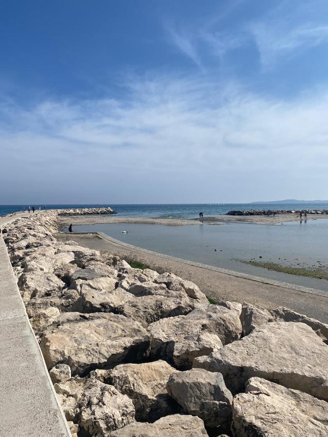 50M Plage / 200M Hippodrome 2 Pieces Jardin Garage Cagnes-sur-Mer Exteriör bild