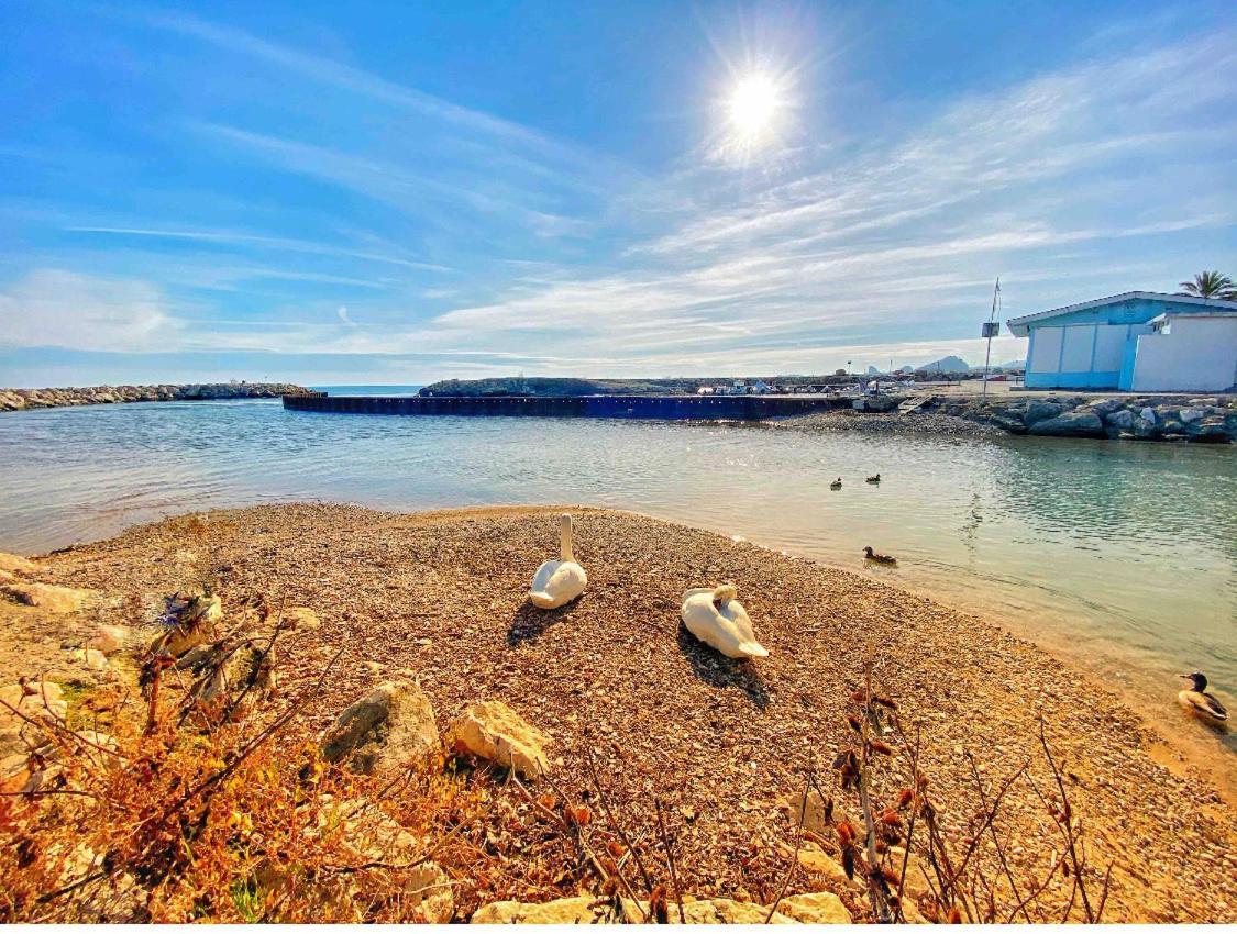 50M Plage / 200M Hippodrome 2 Pieces Jardin Garage Cagnes-sur-Mer Exteriör bild